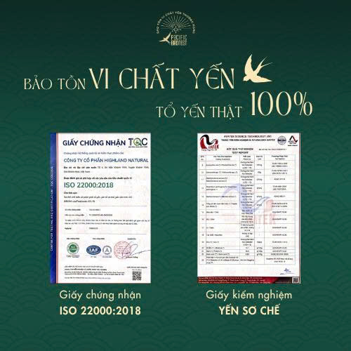 YẾN NGUYÊN TỔ THÔ - Ảnh 6