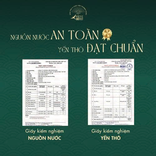 YẾN NGUYÊN TỔ THÔ - Ảnh 5