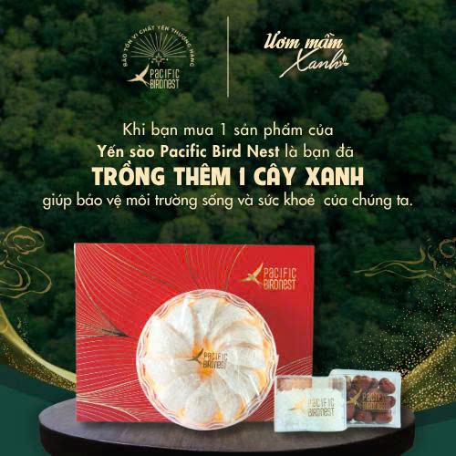 YẾN NGUYÊN TỔ THÔ - Ảnh 8